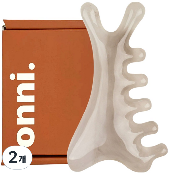 THE압구정언니 바디 페이스 괄사 마사지기, 미스트그레이, 2개