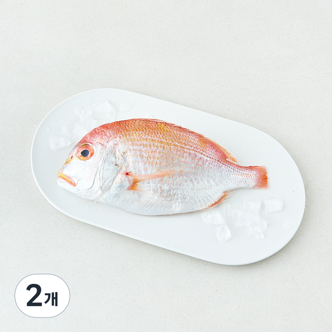 미감어보 국내산 손질 효온처리 통 꽃돔 (냉장), 2개, 300g