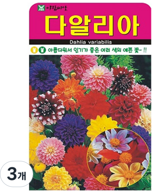 아람종묘 다알리아 꽃 씨앗 100p, 3개