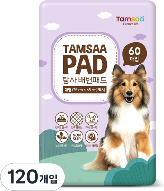 탐사 배변패드 맥시, 60개입, 2개