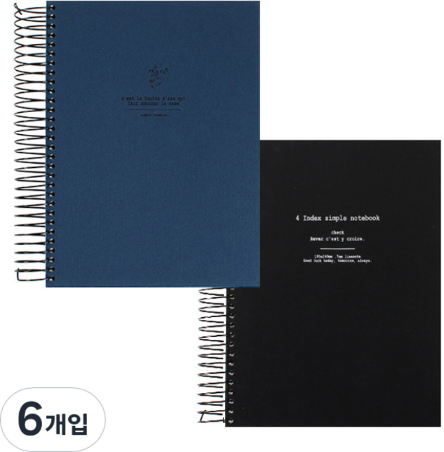 톡톡팬시 인덱스 심플 스프링노트, 랜덤 발송, 6개입