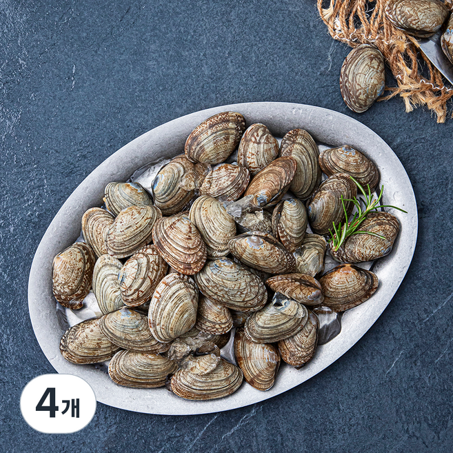 바다자리 생물 물바지락 (냉장), 1kg, 4개