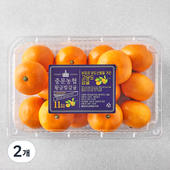중문농협 당도선별 황금빛 진지향, 1.4kg(10~17입), 2개