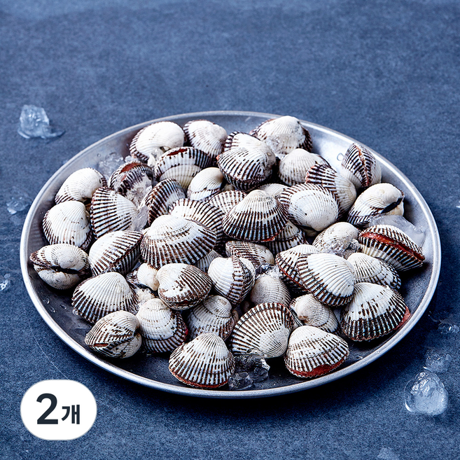 숨비해물 대사이즈 새꼬막 45~65미 (냉장), 2개, 800g