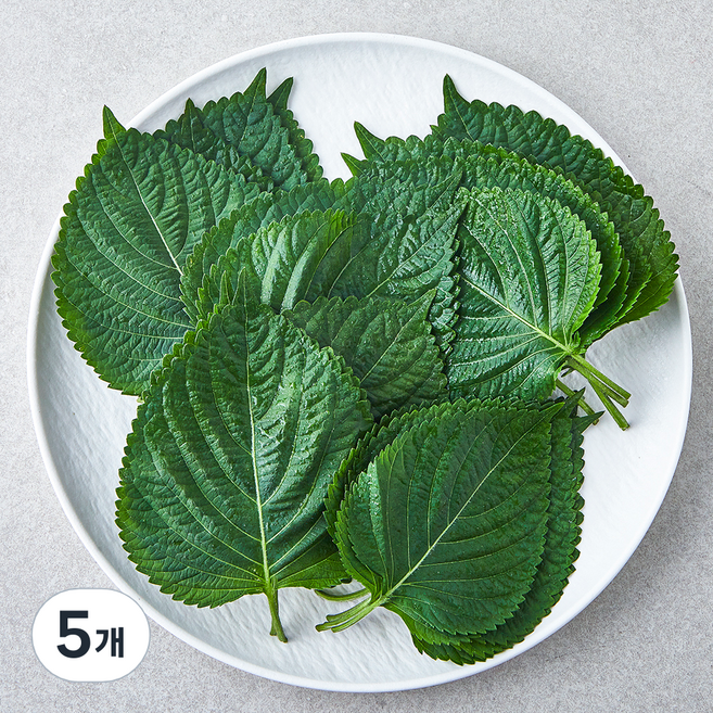 국내산 친환경 깻잎, 30g, 5개