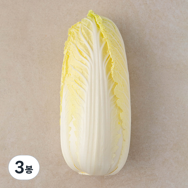 유기농 알배기배추, 400g, 1입, 3봉