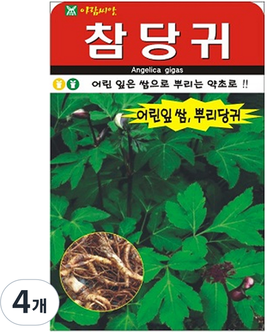 아람종묘 참당귀200립 씨앗, 4개
