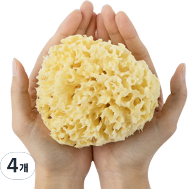 라그랑 해면 L + 건조 집게, 4개