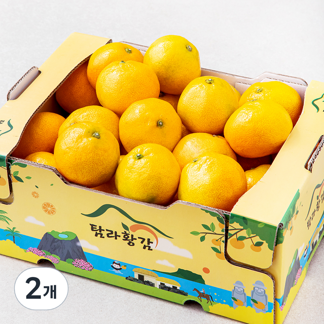 탐라황감 당도선별 10brix 감귤 로열과, 3kg(로열과), 2개