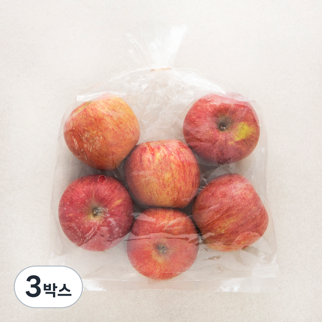 곰곰 당도선별 사과, 1.5kg(중과), 3봉
