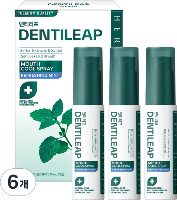 2080 덴티리프 마우스 쿨 구강스프레이 3p, 30ml, 6개