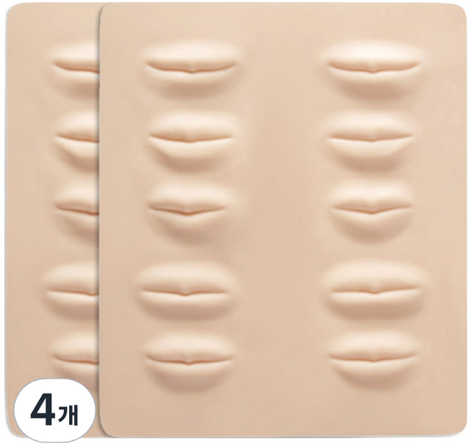 래쉬몬스터 반영구화장 입체 입술 연습판, 4개