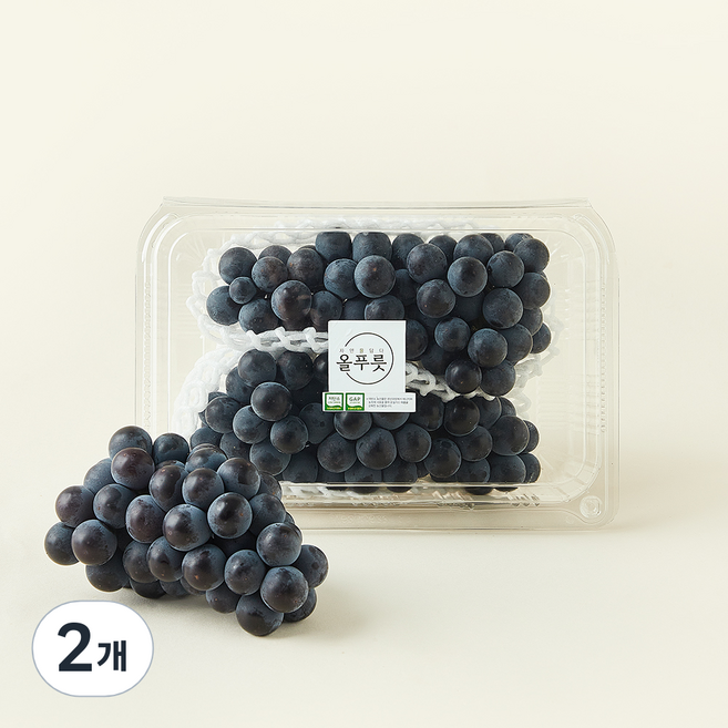 올푸릇 GAP 인증 저탄소 캠벨포도, 2개, 500g