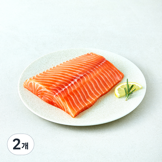 은하수산 노르웨이산 연어필렛 횟감용 (냉장), 2개, 500g