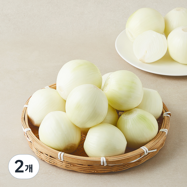 수입산 깐양파, 2개, 9.7kg