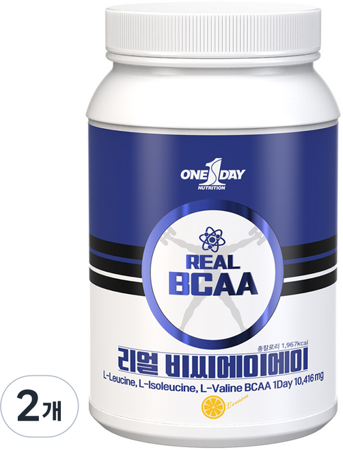 원데이뉴트리션 리얼 BCAA, 2개, 500g