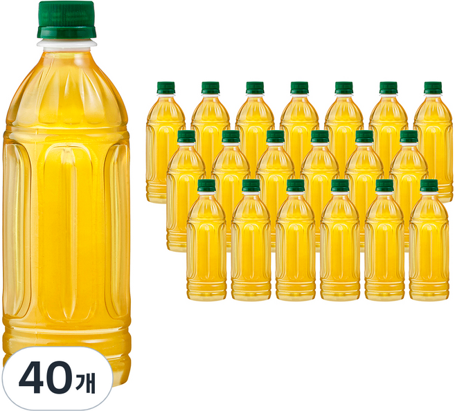 곰곰 깨끗한 보성 말차, 500ml, 40개