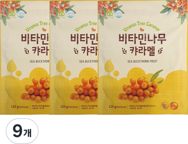 하이투데이 비타민나무 캬라멜, 120g, 9개