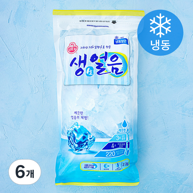 오뚜기 생얼음 (냉동), 1kg, 6개