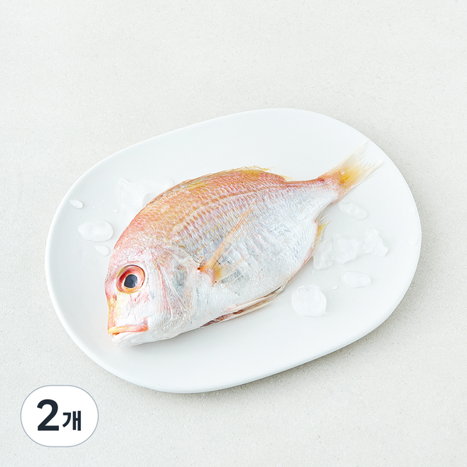 미감어보 국내산 손질 효온처리 통 꽃돔 (냉장), 2개, 200g