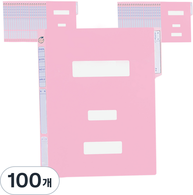 영오 정부화일 A4, 분홍, 100개