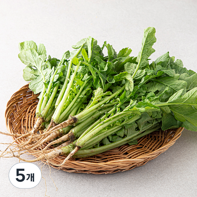 국내산 열무, 500g, 5개