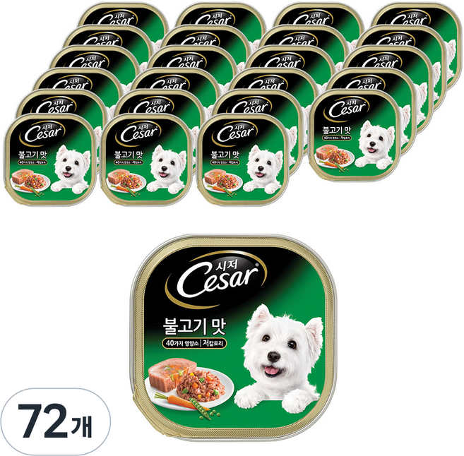 시저 1세이상 강아지 주식캔, 물고기, 100g, 72개