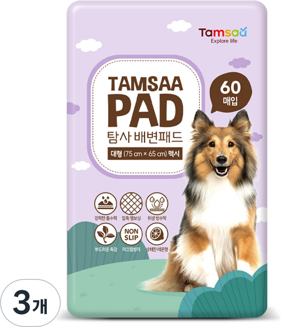 탐사 배변패드 맥시, 60개입, 3개