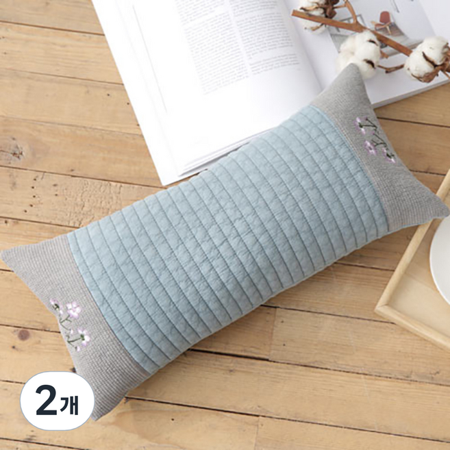 이투라이프 자연피그 메밀베개, 블루, 2개