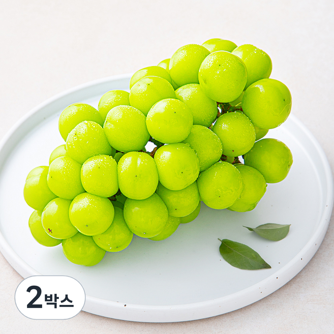 산지직송 아주마 비파괴 당도 선별 영동 상주산 샤인머스켓, 600g, 2박스