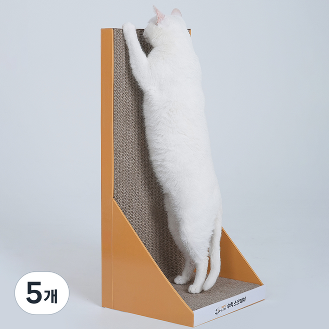 멍냥이노리터 고양이 BC골 이중구조 수직형 스크래쳐, 혼합색상, 5개