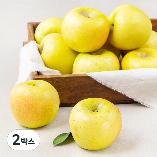 시나노골드 보조개사과, 5kg, 2박스