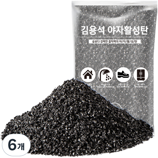 김용석생활연구소 야자활성탄 공기정화 실내 탈취제 본품, 1kg, 6개