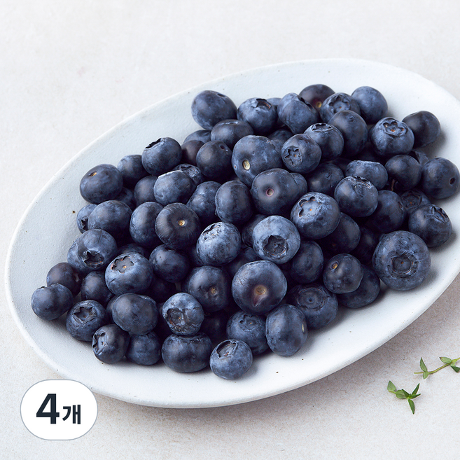 수플린 칠레산 블루베리, 4개, 310g