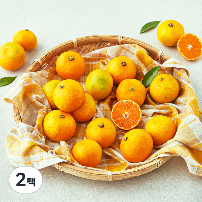 곰곰 당도선별 10brix 한입 감귤, 800g, 2팩