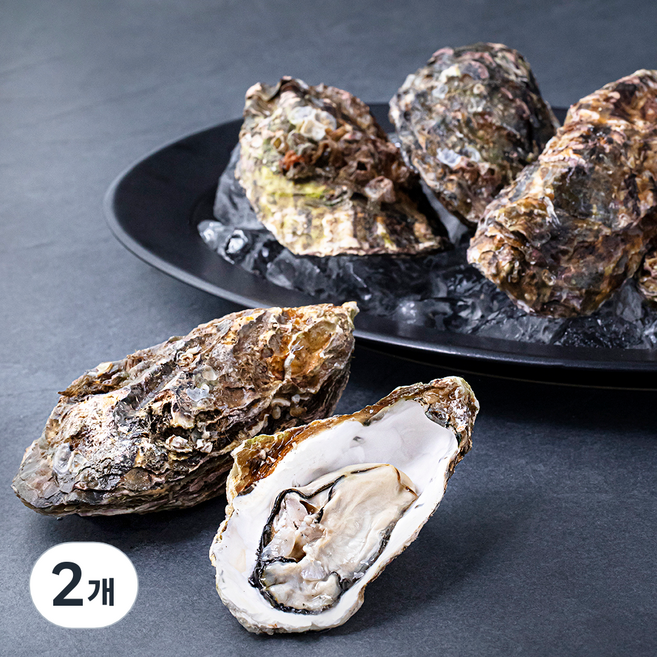 남해안 산지직송 쪄먹는 프리미엄 왕석화 개체굴 6~10미 (냉장), 2kg, 2개