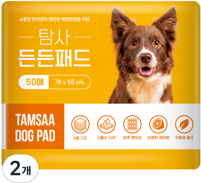 탐사 고흡수 든든패드 레몬향, 50개입, 2개