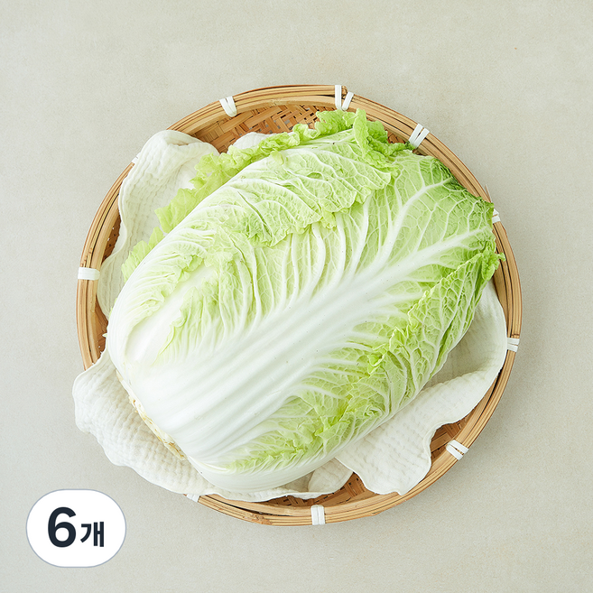 중국산 신선배추, 2kg, 6개, 1개입