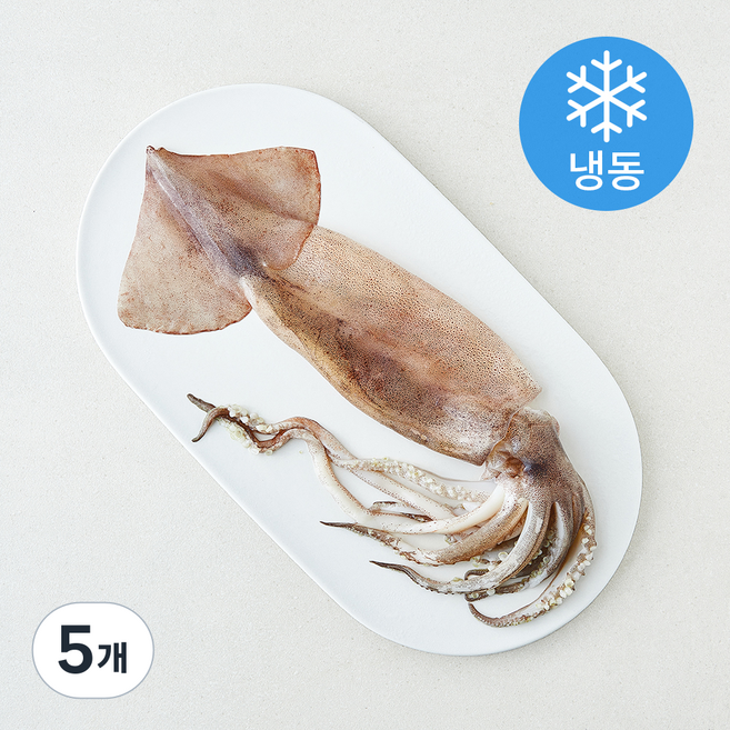 오바다 원양산 통오징어 (냉동), 5개, 240g(대)