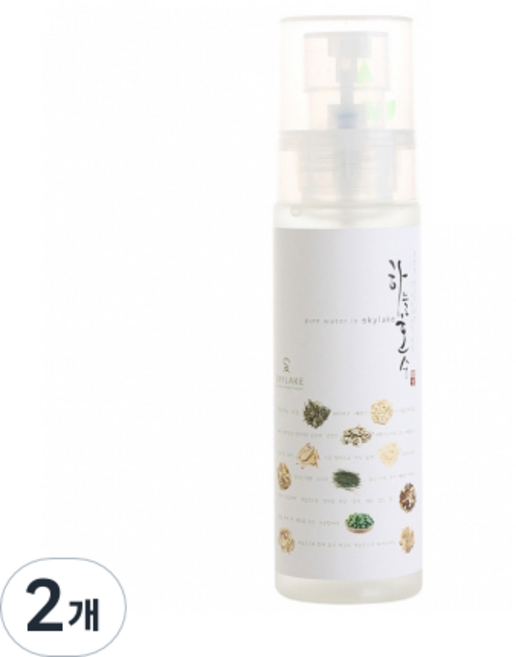 SKYLAKE 한방스킨, 100ml, 2개