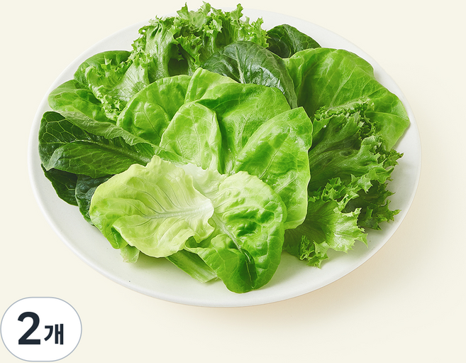 팜에이트 무농약 인증 스마트팜 데일리 믹스 유러피안 샐러드, 100g, 2개