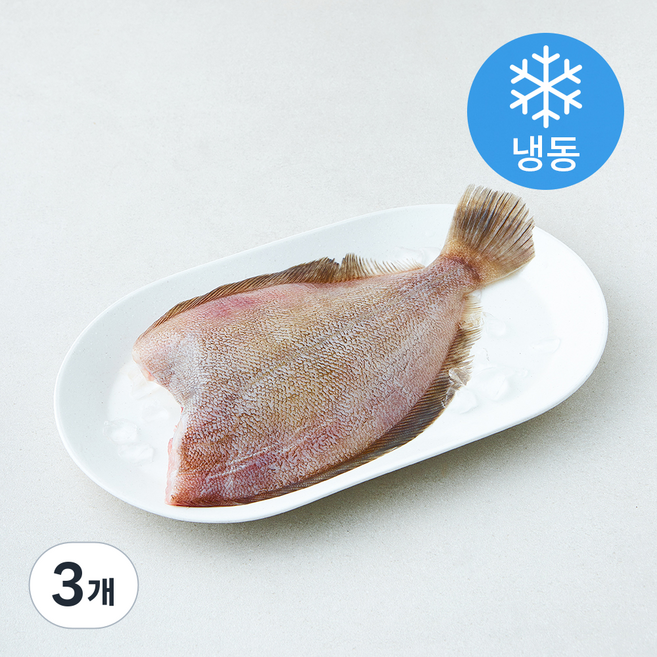 제주 가자미 (냉동), 3개, 400g