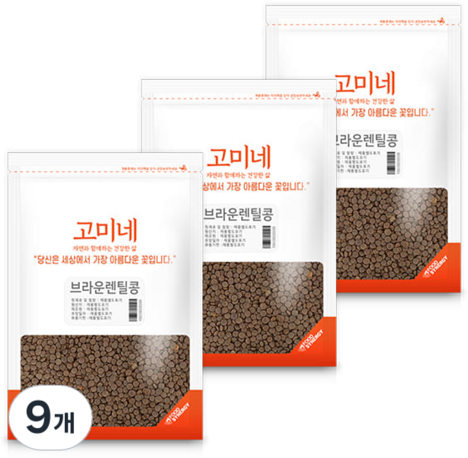 고미네 브라운 렌틸콩, 1kg, 9개