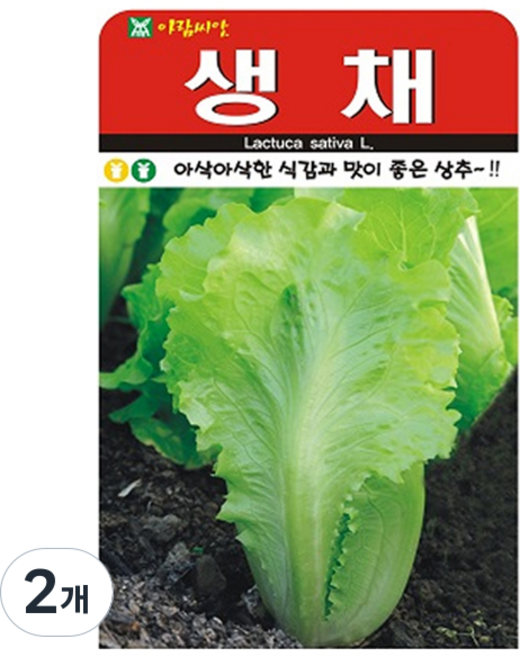 아람종묘 생채 상추 씨앗, 2개