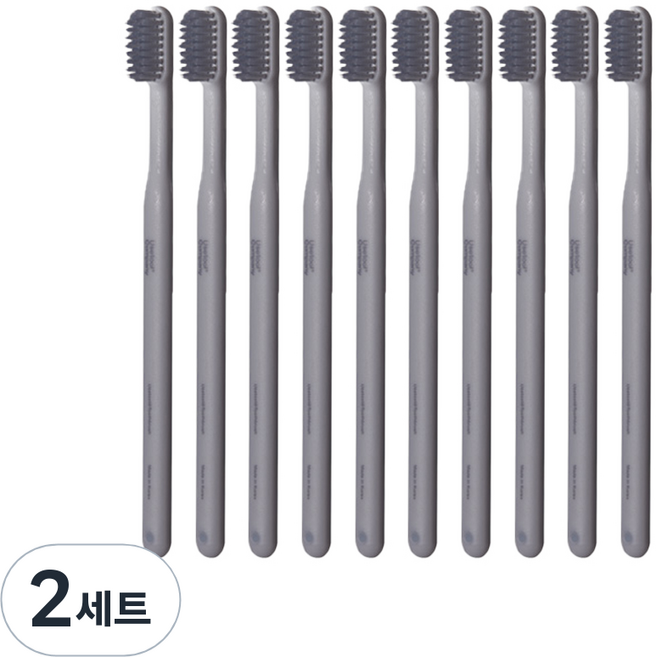 유즈툴컴퍼니 일반모 칫솔 + 캡 세트 그레이, 2세트, 10개입
