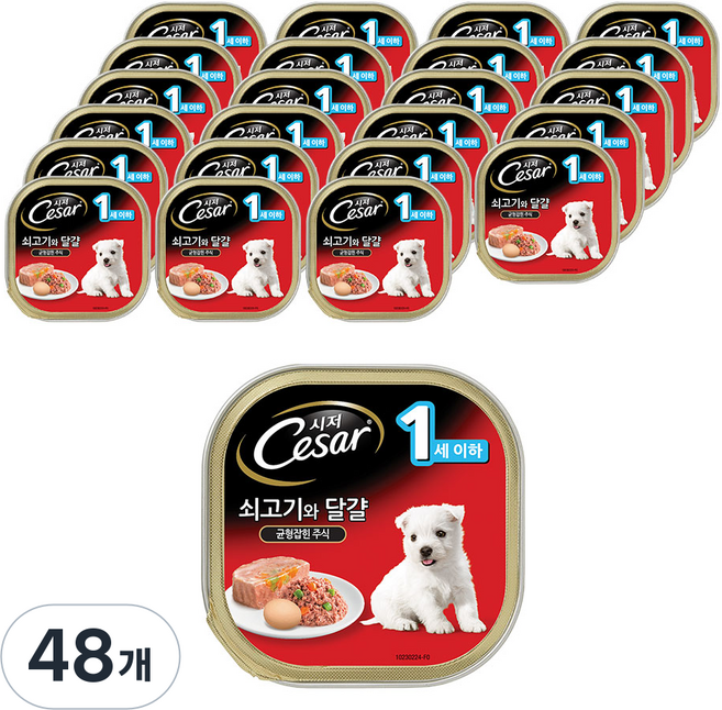 시저 1세 이하 강아지 주식캔, 100g, 48개