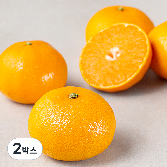 곰곰 당도선별 천혜향, 2kg, 2박스