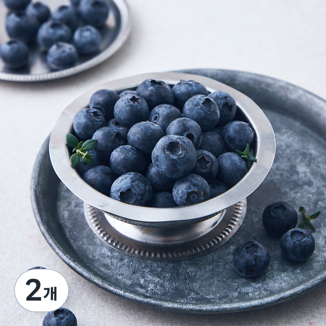 수플린 칠레산 블루베리, 2개, 125g