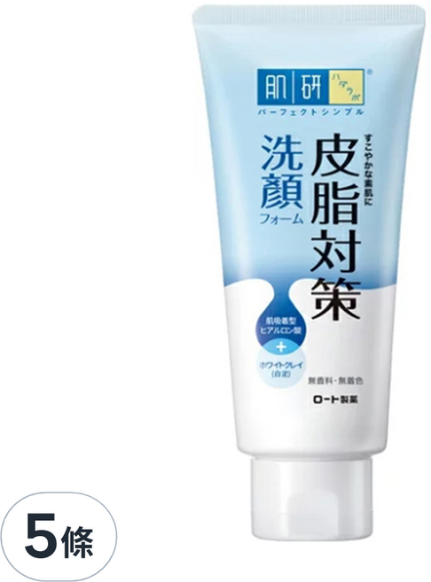 HADALABO 肌研 台灣公司貨 皮脂對策洗顏乳, 100g, 5條