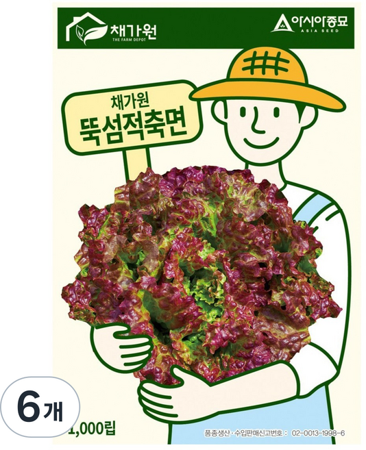 아시아종묘 상추 뚝섬적축면 씨앗 1000립, 6개